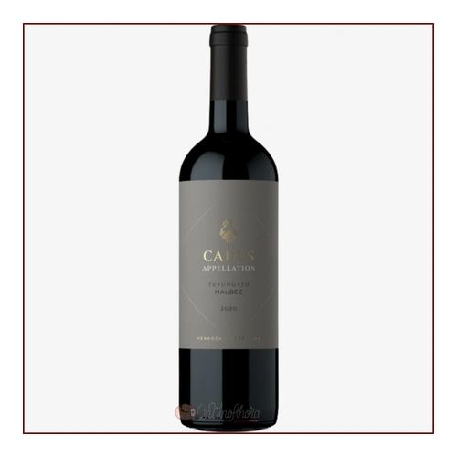 Cadus Tupungato Malbec