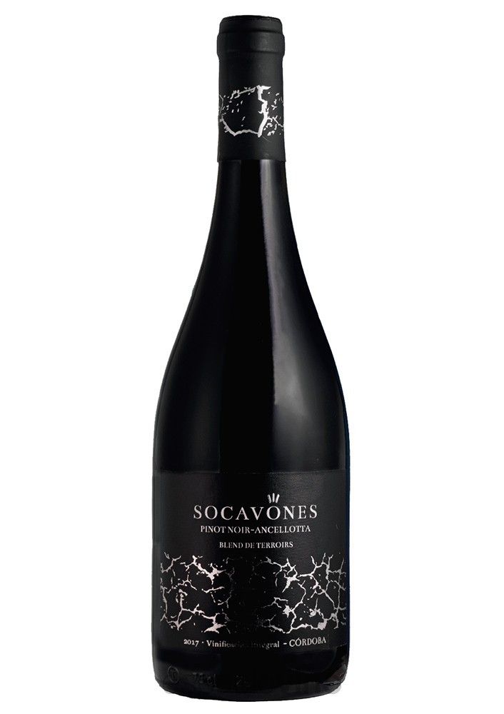 Socavones Pinot Ancellotta